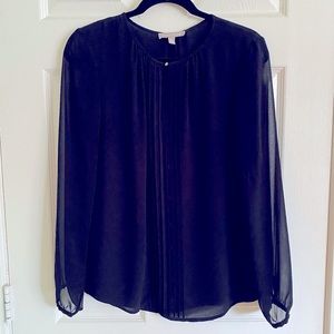 Banana Republic Sheer Pleated Front Long Sleeve Blouse